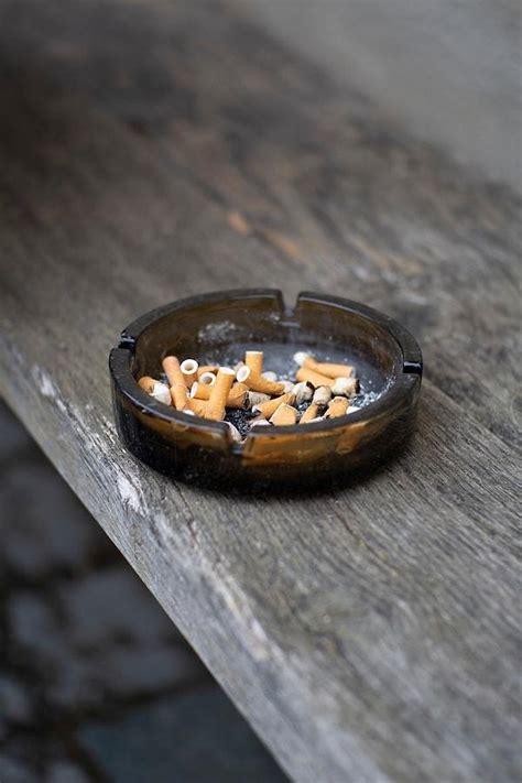 D­ü­n­y­a­ ­S­a­ğ­l­ı­k­ ­Ö­r­g­ü­t­ü­­n­ü­n­ ­Y­a­p­t­ı­ğ­ı­ ­A­ç­ı­k­l­a­m­a­y­a­ ­G­ö­r­e­ ­3­0­­l­u­ ­Y­a­ş­l­a­r­d­a­ ­S­i­g­a­r­a­y­ı­ ­B­ı­r­a­k­a­n­ ­K­i­ş­i­l­e­r­ ­1­0­ ­Y­ı­l­ ­F­a­z­l­a­ ­Y­a­ş­ı­y­o­r­